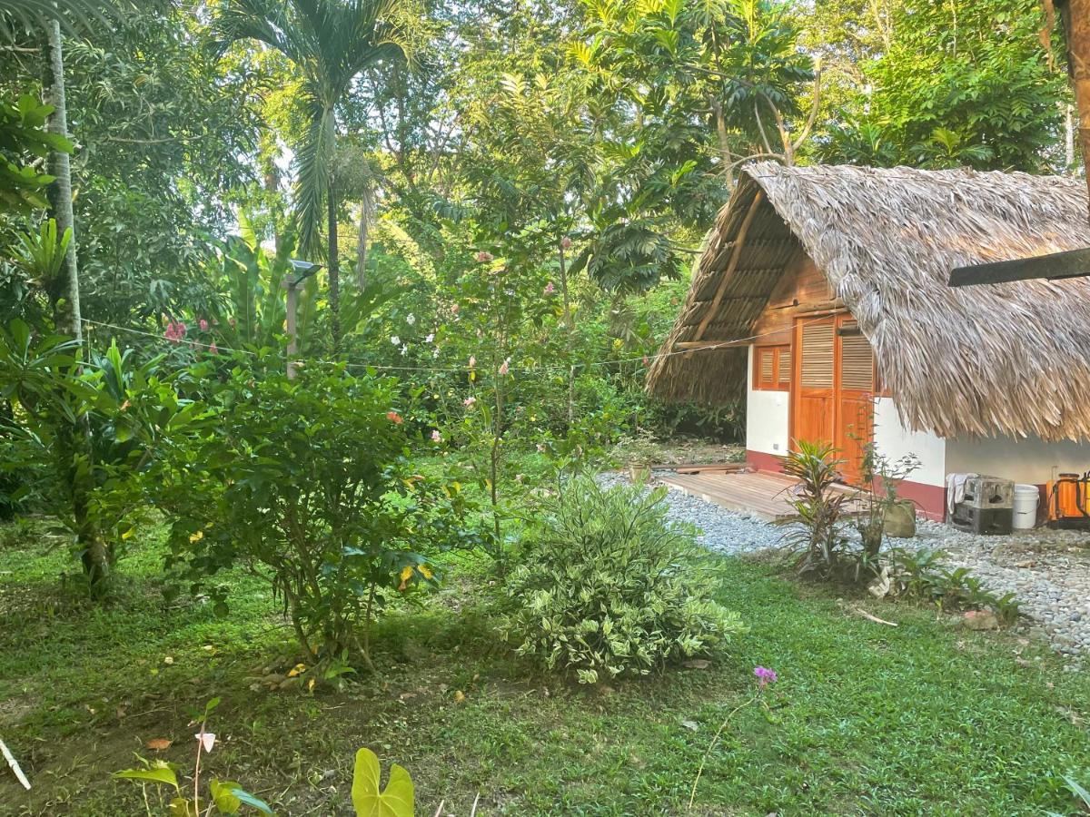 Cabañas Tucan Eco Hotel RNT 52523 Capurganá Exterior foto