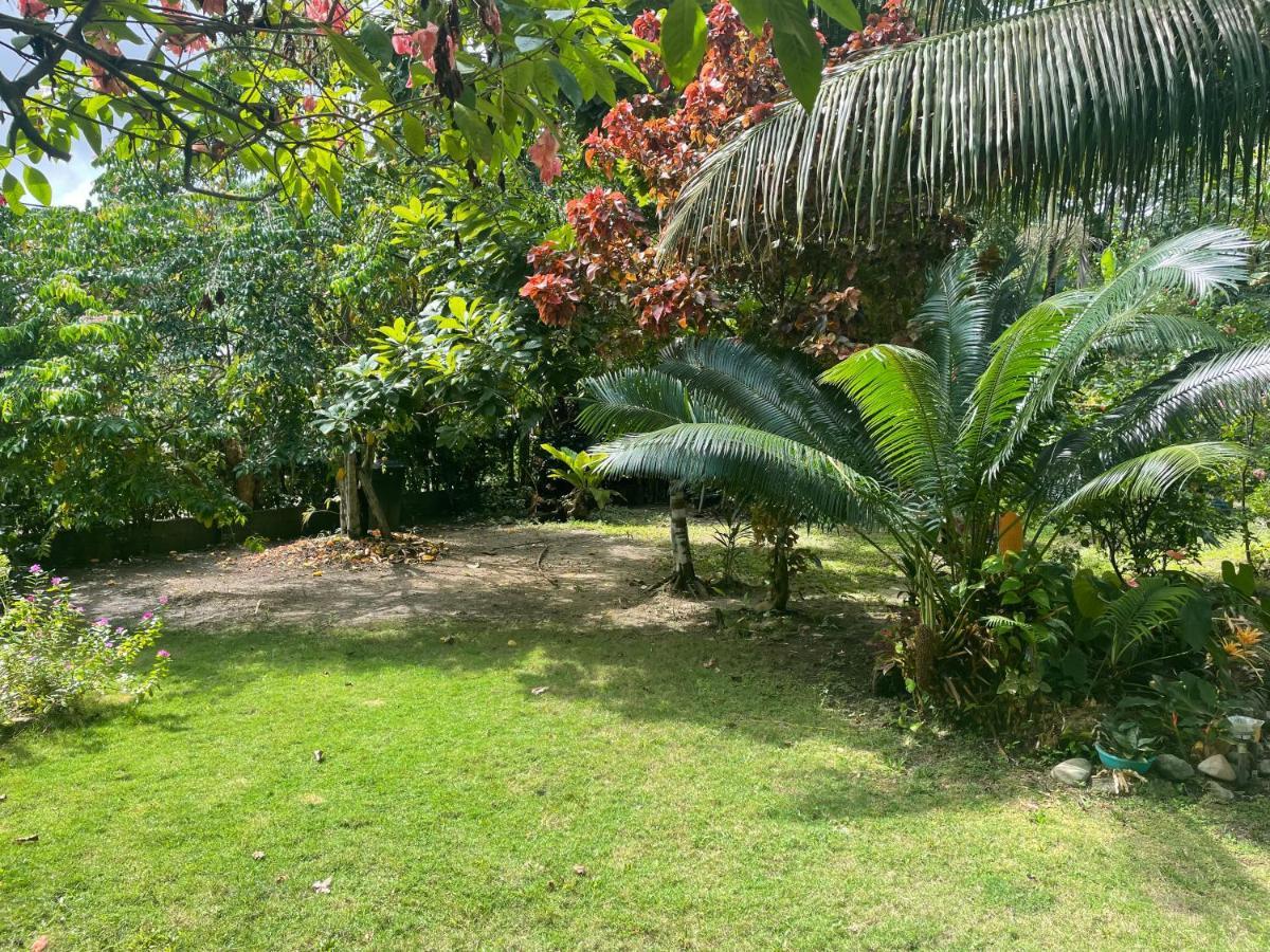 Cabañas Tucan Eco Hotel RNT 52523 Capurganá Exterior foto