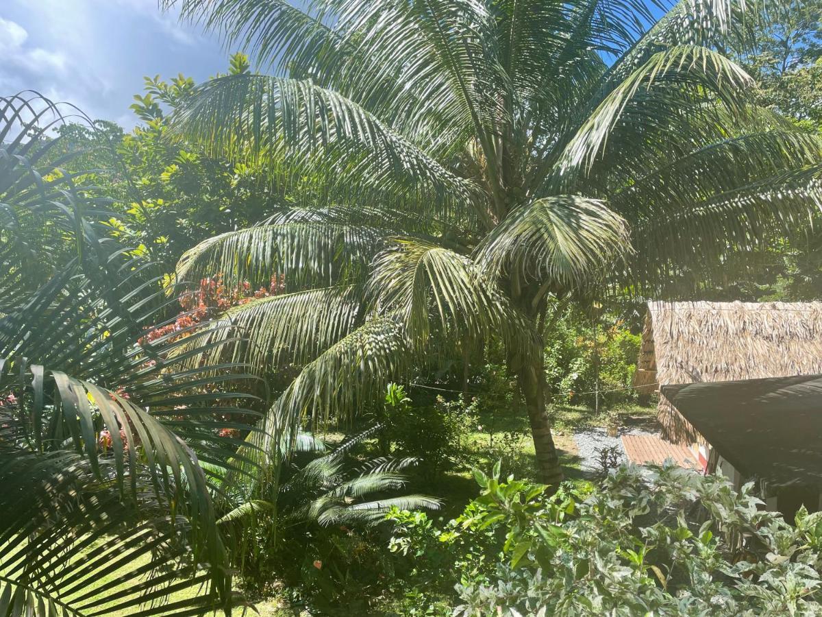 Cabañas Tucan Eco Hotel RNT 52523 Capurganá Exterior foto